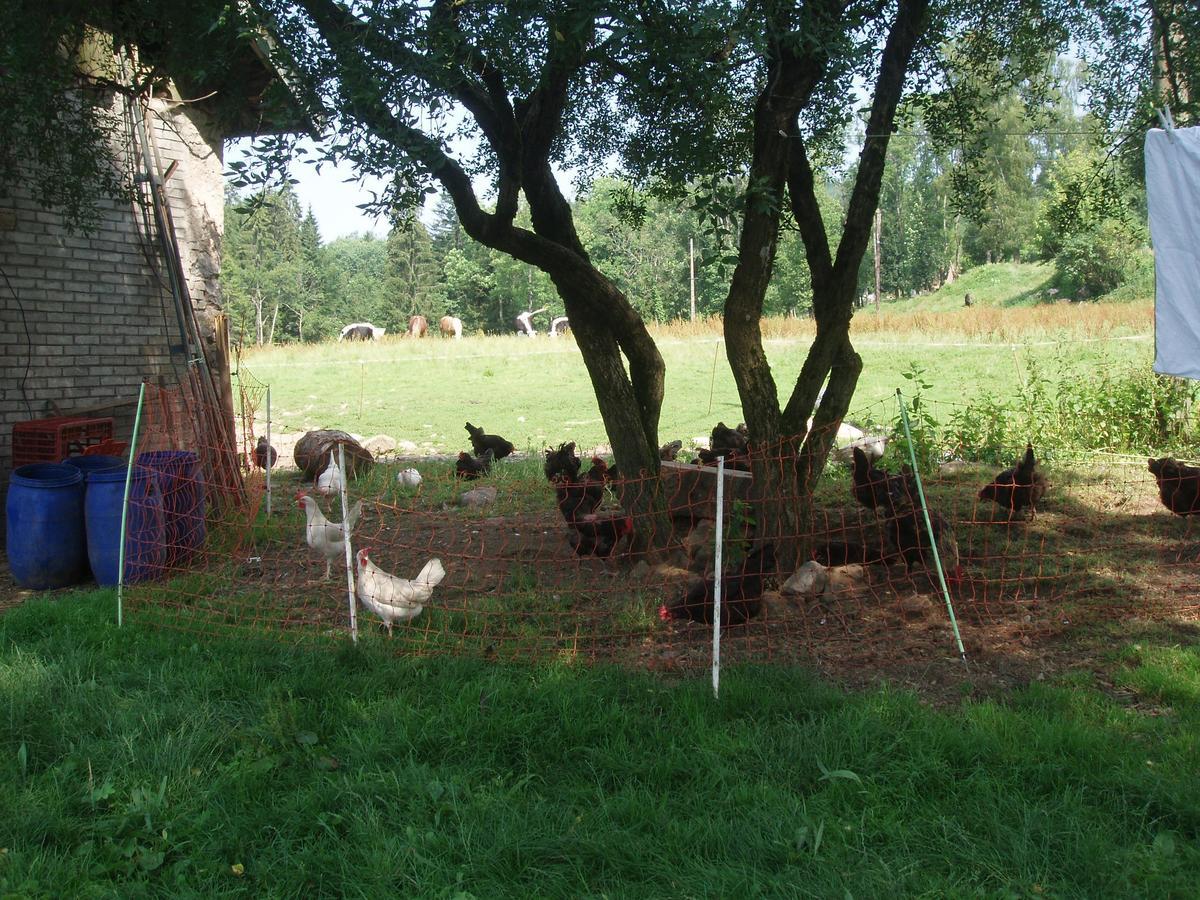 Ferme Du Haut Barba Liezey ภายนอก รูปภาพ